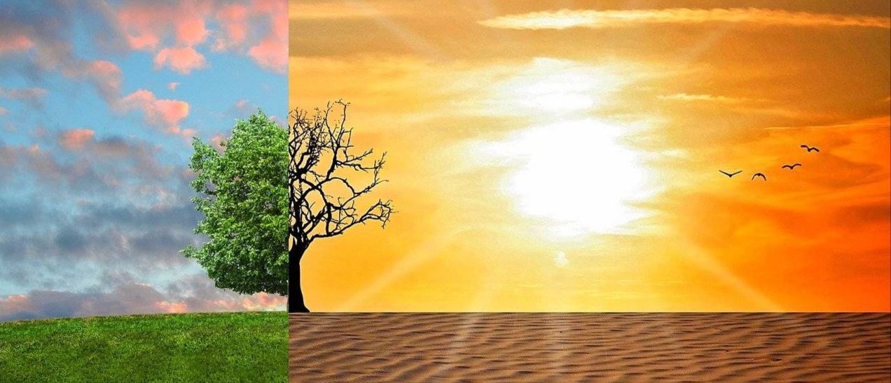 Klimawandel